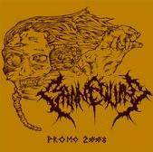 Plasmoptysis : Promo 2008